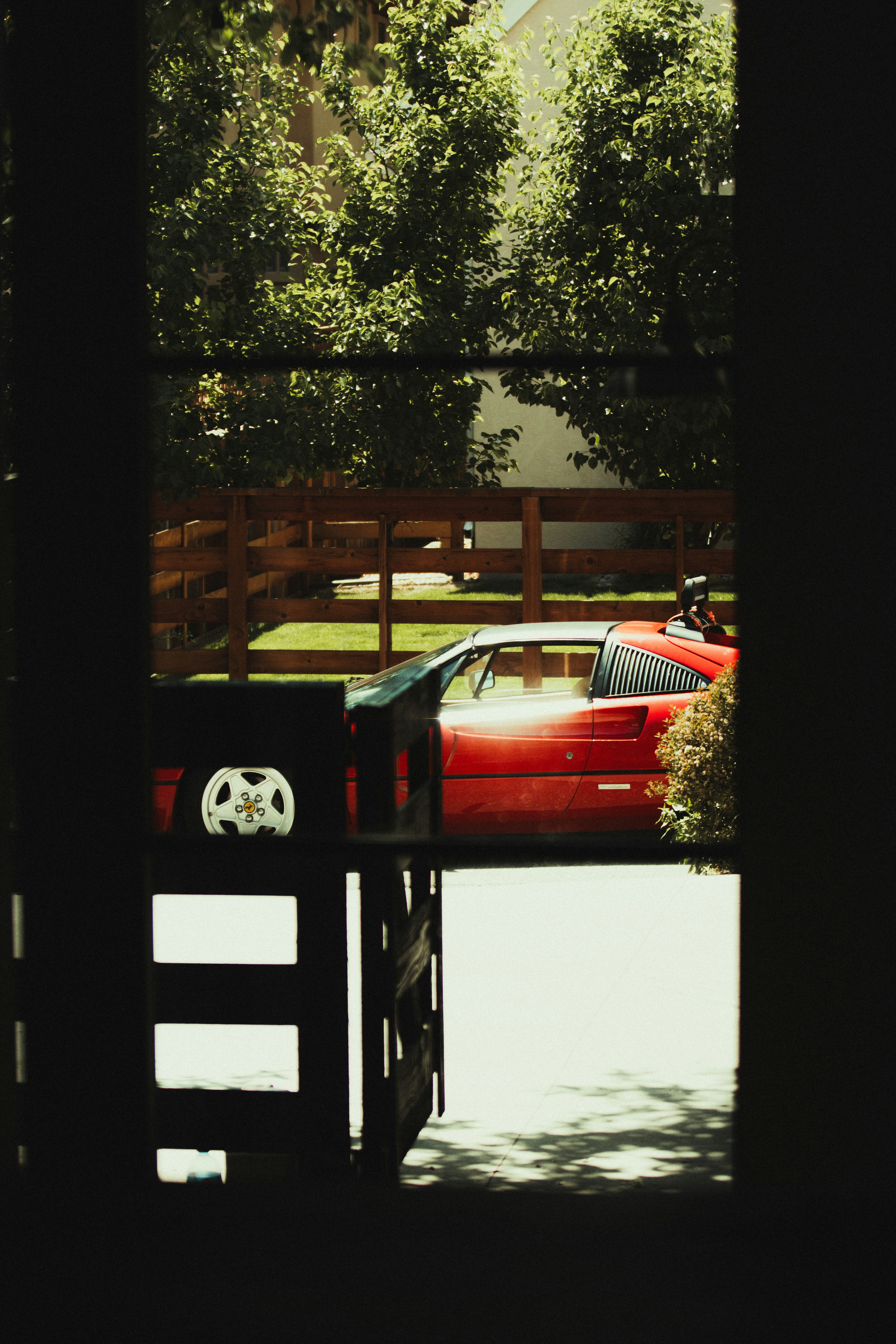 red car parked near green tree during daytime